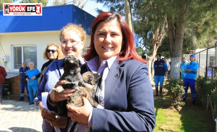 Aydın Büyükşehir Belediyesi can dostlara sahip çıkıyor