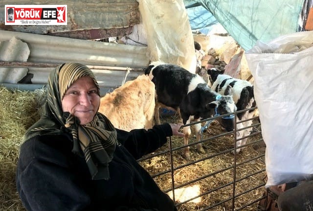 Kendi işini kurmak isteyen engelliler için ’hibe desteği’ başvuruları başladı