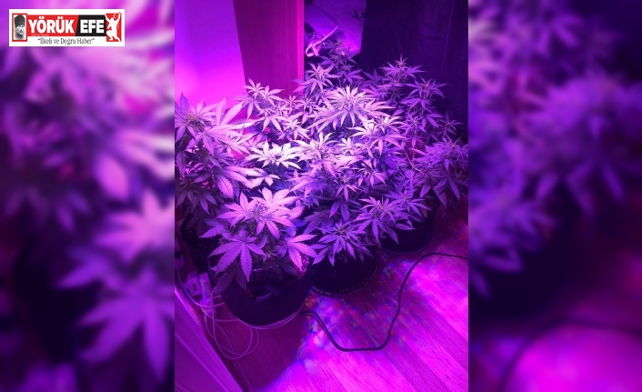 Kuşadası’nda Uyuşturucu Operasyonu