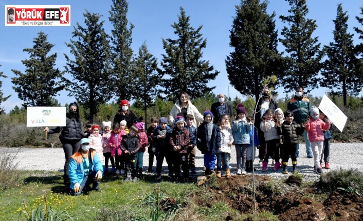 Minik eller fidanları toprakla buluşturdu