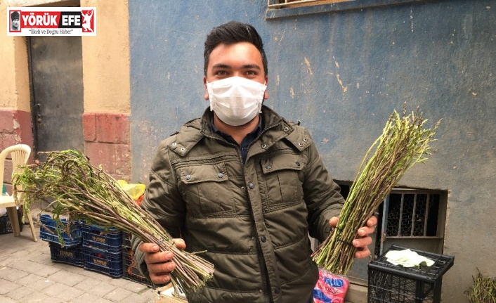 Sarmaşık ve kedirgenler pazarlardaki yerini aldı