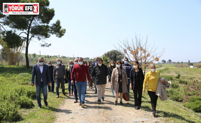 Akköy serası ziyaretçilerden ilgi görüyor