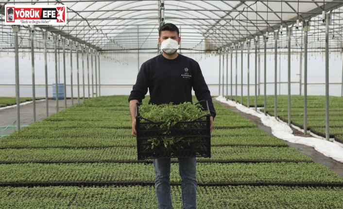 Ata tohumları vatandaşların bahçesiyle buluştu