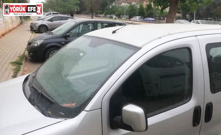 Aydın’da çamur yağışı etkili oluyor