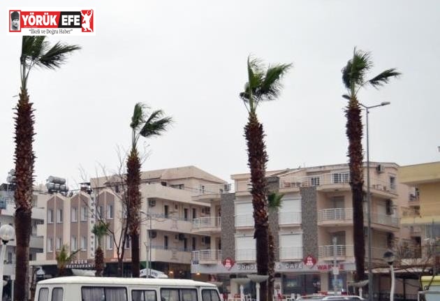 Aydın’da yarın kuvvetli rüzgar etkili olacak