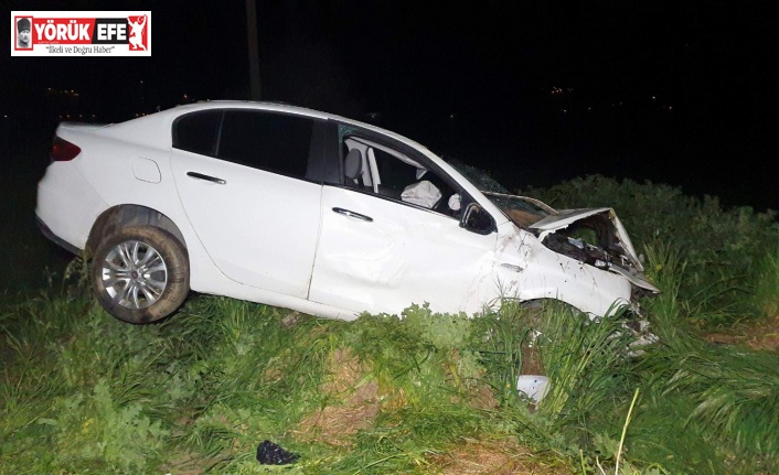 Bozdoğan’da otomobil şarampole devrildi