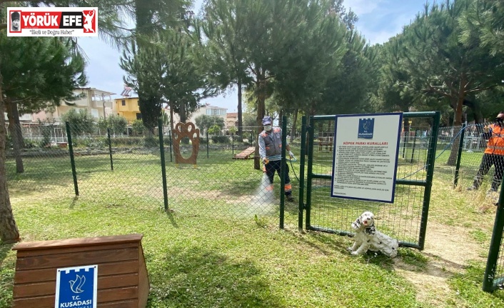 Can dostların yaşam alanlarına vegan temizlik