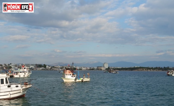 Didim’de deniz patlıcanı avcılığı sona erdi