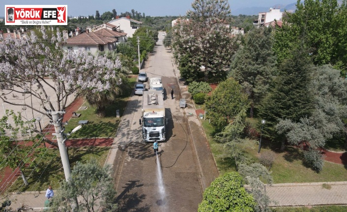 Efeler’de bahar temizliği