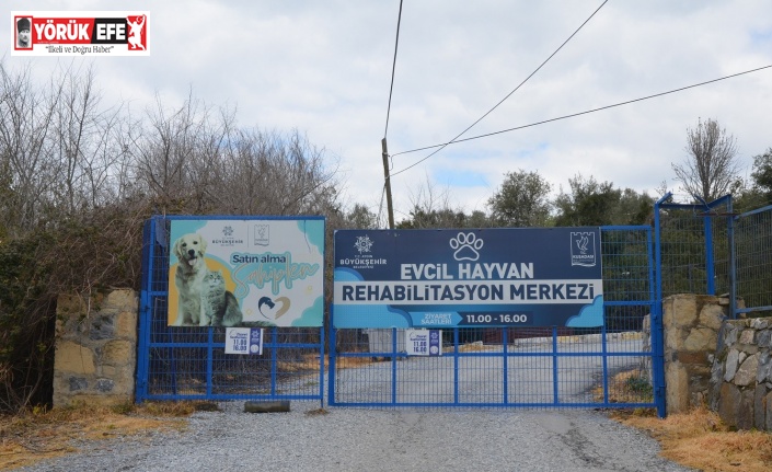 “Evcil Hayvan Rehabilitasyon Merkezi 10 gün içinde yeniden ziyarete açılacak