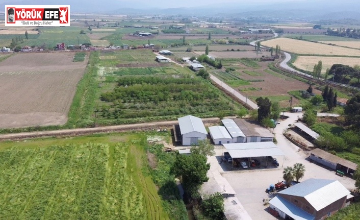 ’İçimizden Biri’ başlıklı kariyer planlama eğitimi gerçekleşti