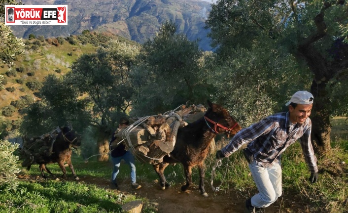 Kış yeniden geri gelince, vatandaşa yakacak telaşı sardı