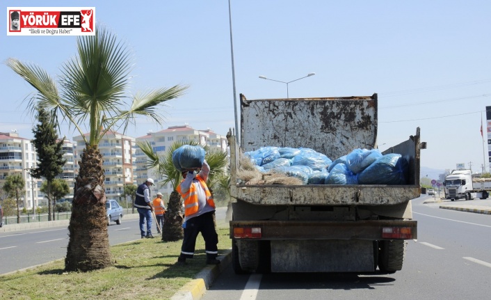 Nazilli karayolunda yaz temizliği başladı