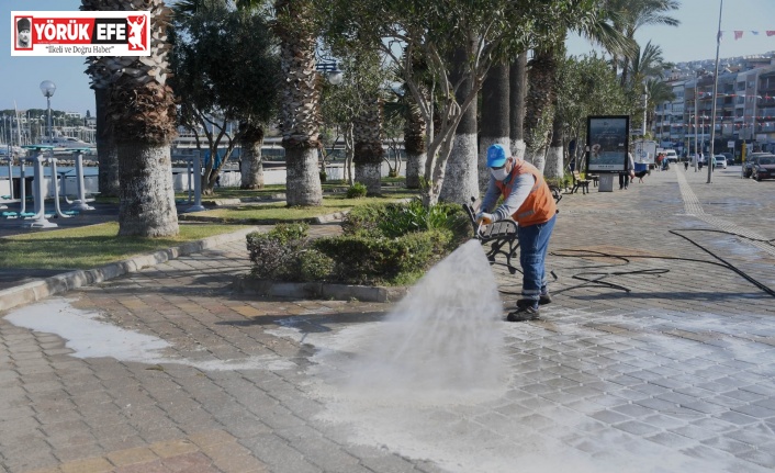 Pandemiye karşı doğa dostu temizlik