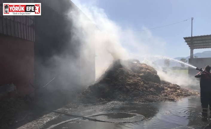 Aydın BŞB İtfaiyesi Söke’deki yangında 14 saat mücadele verdi