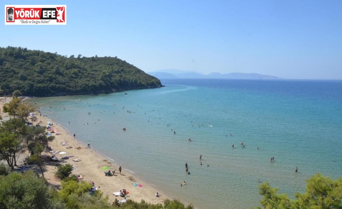 Aydın’ın 39 plajı mavi bayraklı