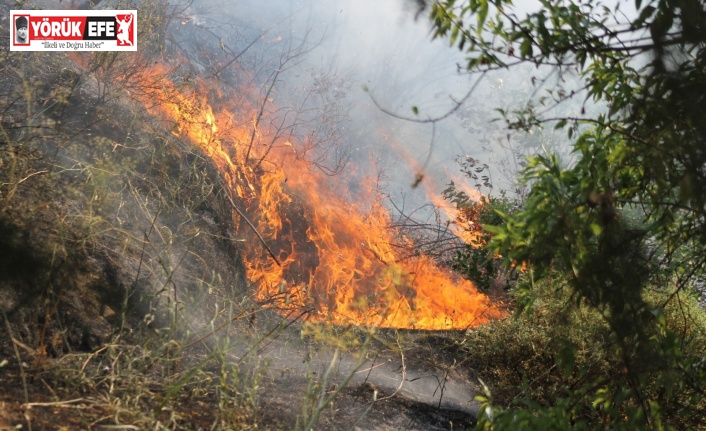 Aytepe’de korkutan yangın kontrol altına alındı
