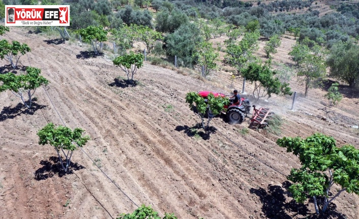 Çiftçiler gününü tarlada çalışarak geçirdiler