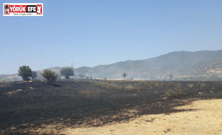 Çine’de onlarca dönüm ekili arazi alevlere teslim oldu