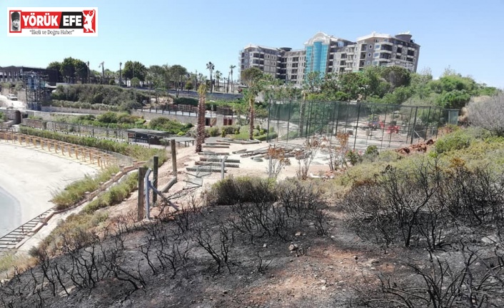 Didim’de makilik yangını büyümeden söndürüldü