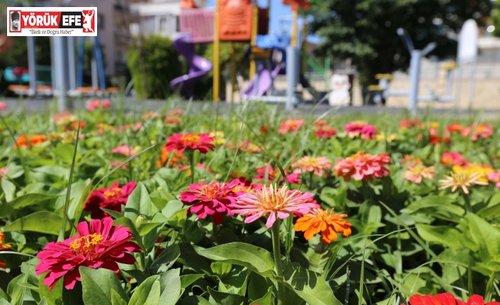 Efeler yeşil alan çalışmaları ile rengarenk oldu