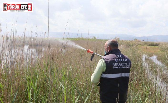 Efeler’de ilaçlama çalışmaları devam ediyor
