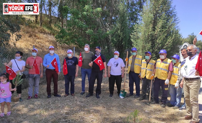 EĞİTİM İŞ HATIRA ORMANI DİKTİ