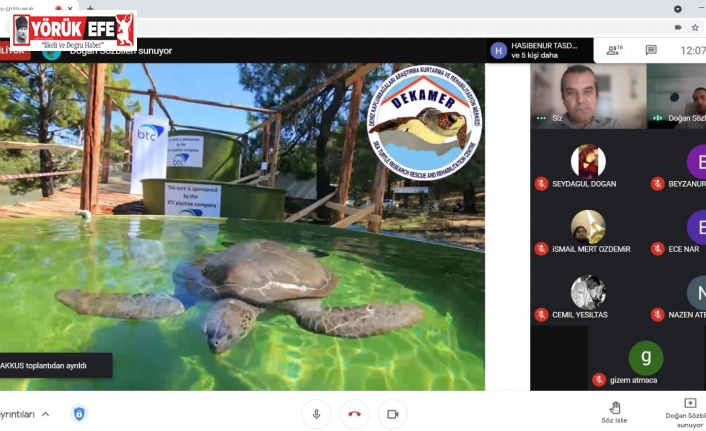 Karacasu’da deniz kaplumbağaları anlatıldı