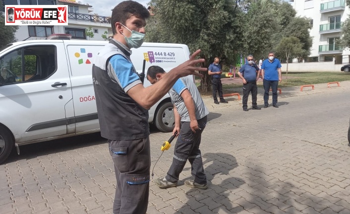 Kokuyu herkes duydu, kaçağı kimse bulamadı