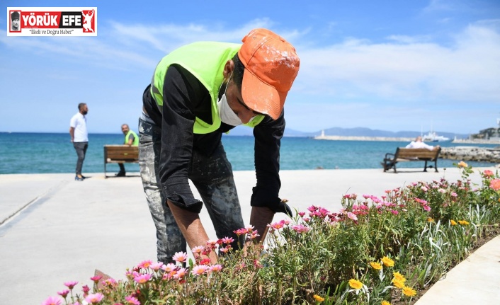 Kuşadası Belediyesi’nden sahil şeridine yaz dokunuşu