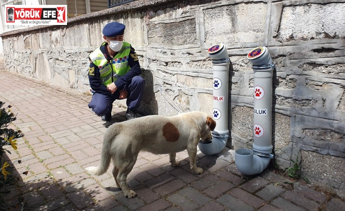 Nazilli Jandarma Timlerinden ‘Bir Kap Can’ Projesi