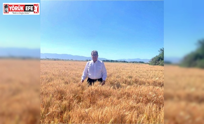 Söke Borsa Başkanı Nejat Sağel: “Buğday fiyatları sevindirdi”