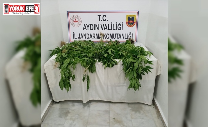 1 haftada 222 gram uyuşturucu ele geçirildi