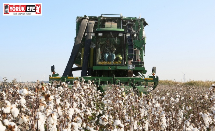 Aydın’da bitkisel üretim destek ödemeleri yarın başlıyor
