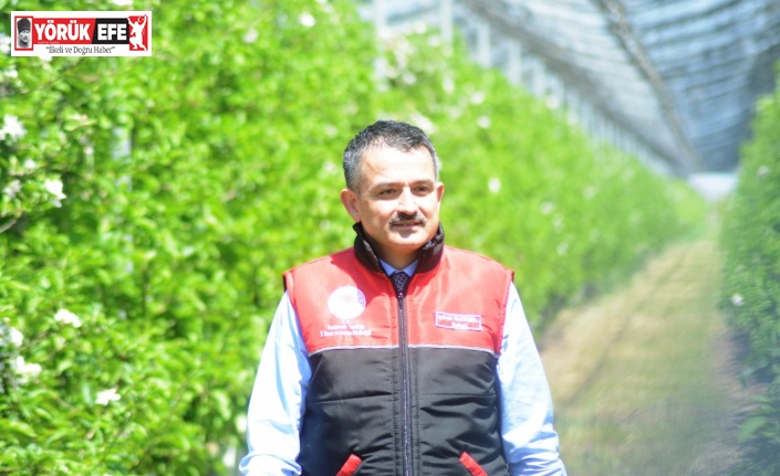 Bakan Pakdemirli’den Aydın’a müjde