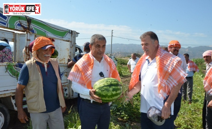 Başkan Kaplan’dan ‘Cincin Karpuzu’ için markalaşma hamlesi
