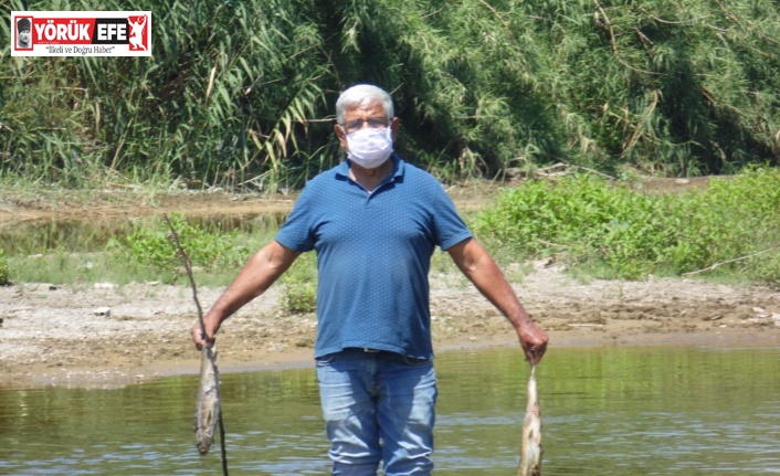 Menderes’teki balık ölümleri endişelendirdi