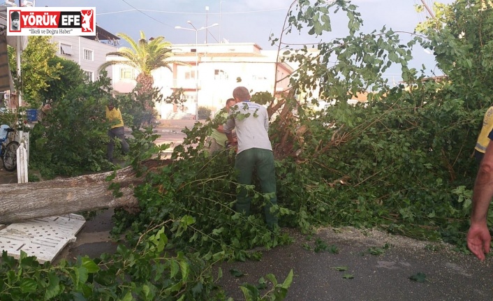Nazilli Belediyesi’nden anında müdahale