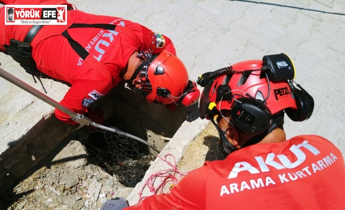 Rögara düşen yavru kediyi Kuşadası AKUT ekibi kurtardı
