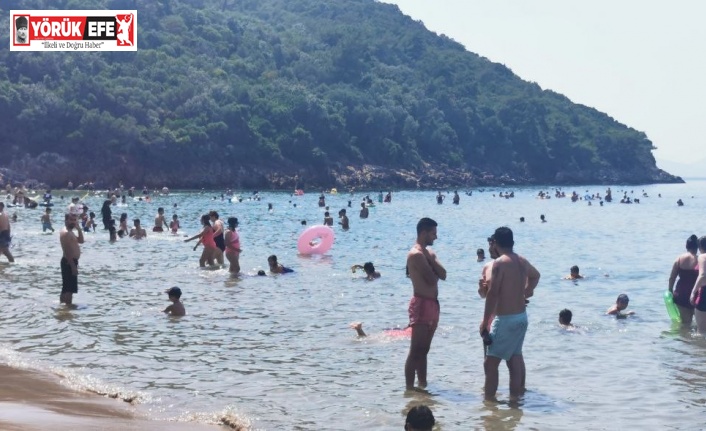 Sıcağı gören milli parka akın etti