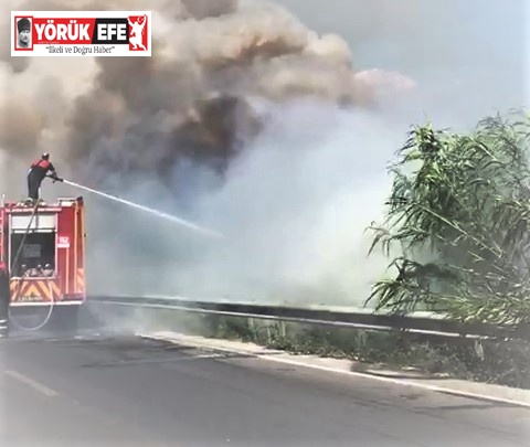 Söke’de karayolu kenarındaki yangın korkuttu