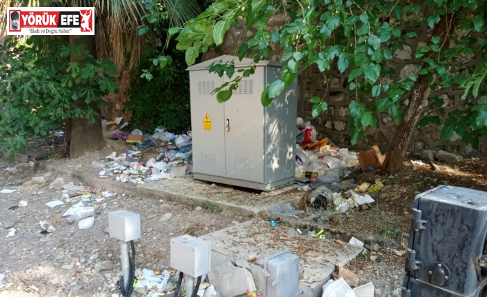 Tarihi gar, duyarsız vatandaşların kurbanı oldu