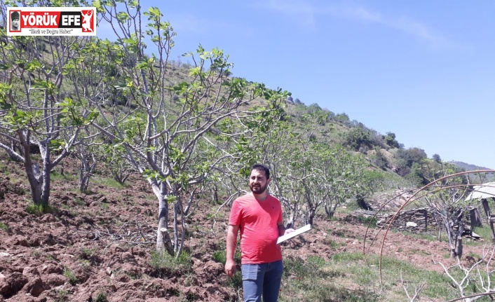 TEİAŞ, çiftçinin zararını  tazmin ettirdi