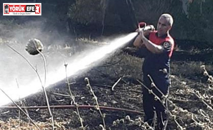 Ateş savaşçılarının hızlı müdahalesi, zeytin ağaçlarını korudu