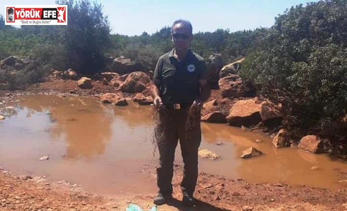 Aydın’da av koruma ve kontrol faaliyetleri devam ediyor