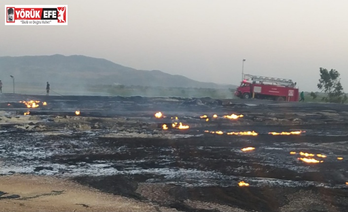 Aydın’da biyogaz tesislerinde yangın