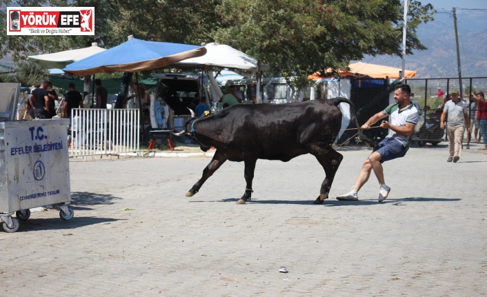 Aydın’daki kurban pazarı eski günleri arattı