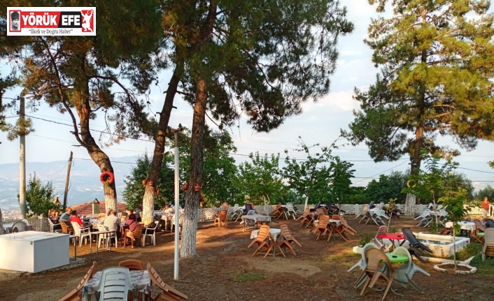 Ballıpınar Yaylası, tatilcilerin yeni gözdesi oldu