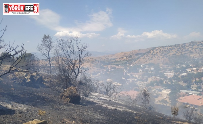 Çakırbeyli’deki yangın söndürüldü