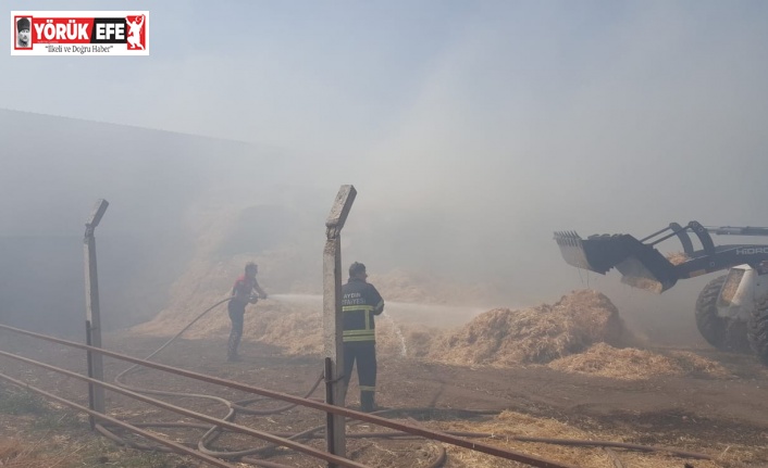 Çine ve Efeler’deki yangınlara büyükşehir itfaiyesi müdahale etti